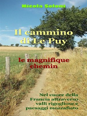 cover image of Il cammino di Le Puy, le magnifique chemin